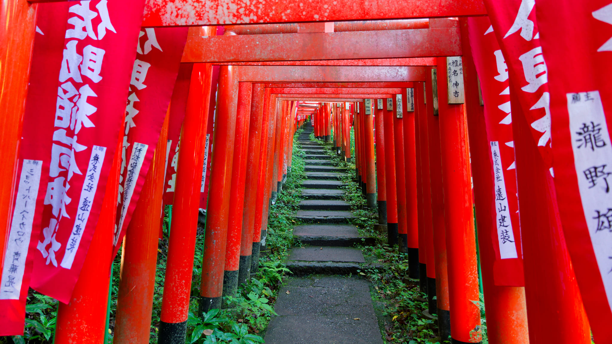 02-Kamakura (4) Sasuke Inari-jinja.jpg
